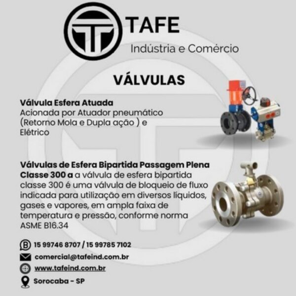 Válvula Esferica Atuada / Válvula Bipartida Passagem Plena Classe 300