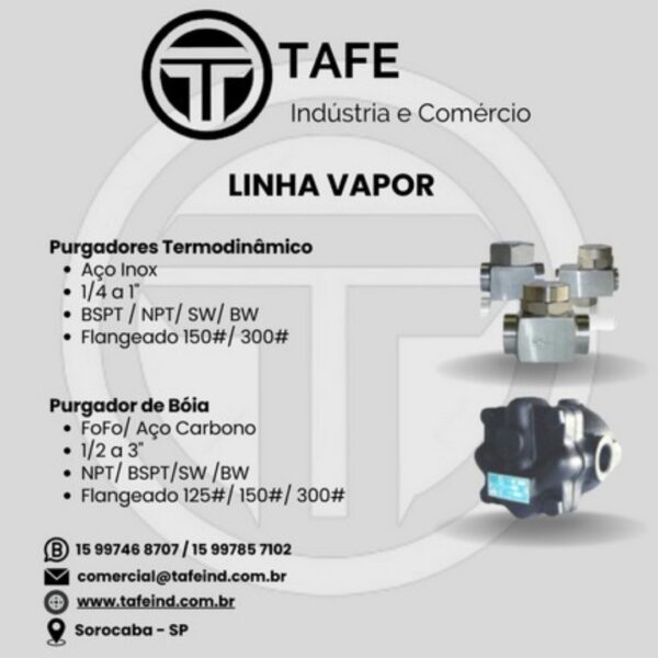 Purgadores Termodinâmico / Purgador de Bóia