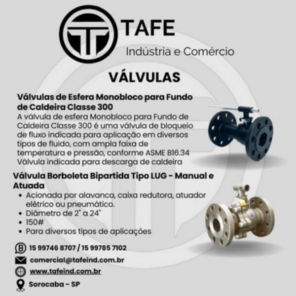 Válvula de Esfera Monobloco para Fundo de Caldeira classe 300 / Válvula Borboleta Bipartida tipo LUG -Manual e Atuada