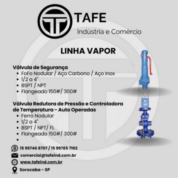 Válvula de Segurança / Válvula Redutora de Pressão e Controladora de Temperatura - Auto Operadas